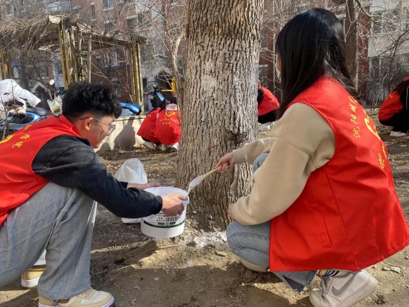 建筑与规划学院-筑梦志愿路薪火永相传-树木涂白